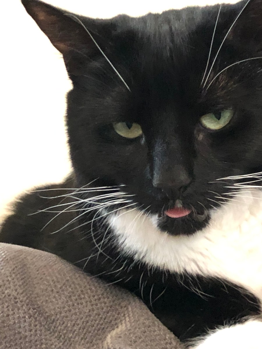 Healing Emotionally and&nbsp;Physically