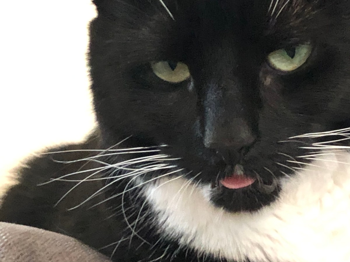 Healing Emotionally and&nbsp;Physically